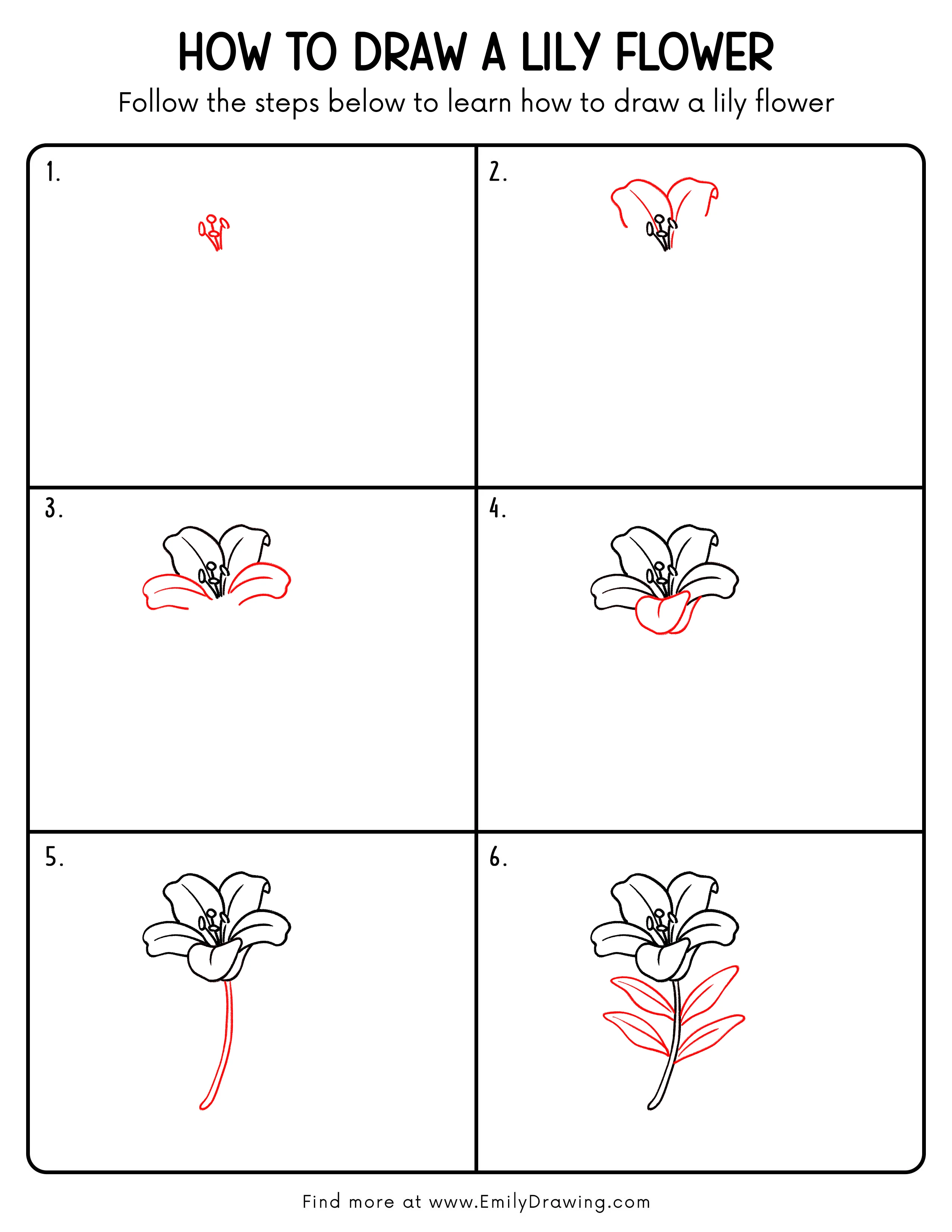 Printable Lily Flower Drawing Guide